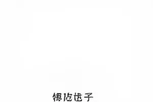 铁皮屋顶剧照，雨后屋顶积水映出对面楼群的倒影